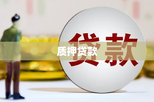 广水质押贷款