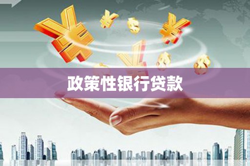 南丹政策性银行贷款