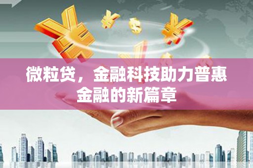 遂宁微粒贷，金融科技助力普惠金融的新篇章