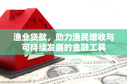 嵩县渔业贷款，助力渔民增收与可持续发展的金融工具