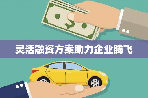 成华灵活融资方案助力企业腾飞