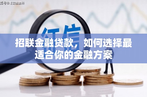 乾安招联金融贷款，如何选择最适合你的金融方案
