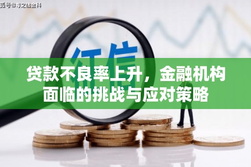 循化贷款不良率上升，金融机构面临的挑战与应对策略