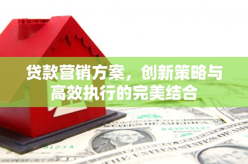 吴忠贷款营销方案，创新策略与高效执行的完美结合