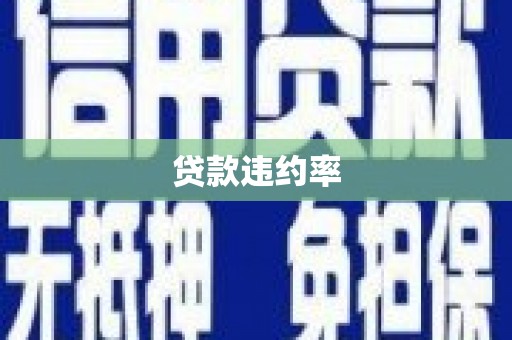 桐城贷款违约率