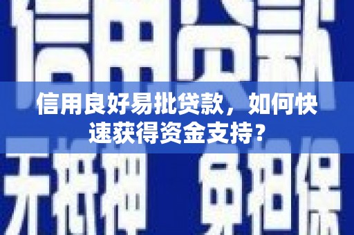 尚义信用良好易批贷款，如何快速获得资金支持？