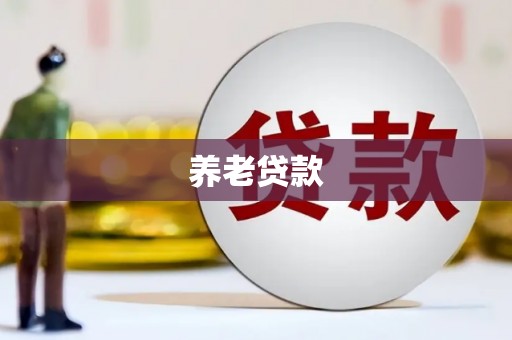 大名养老贷款