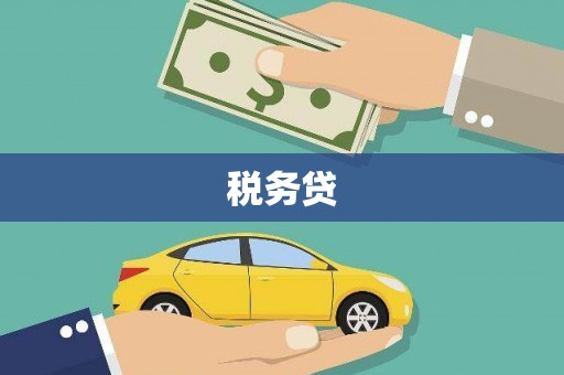 成华税务贷