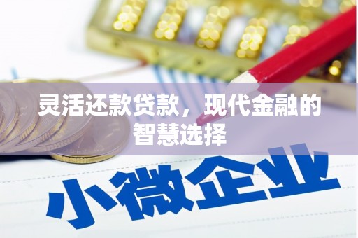 广水灵活还款贷款，现代金融的智慧选择