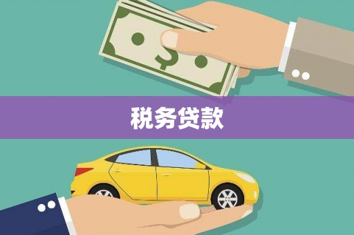 天元税务贷款