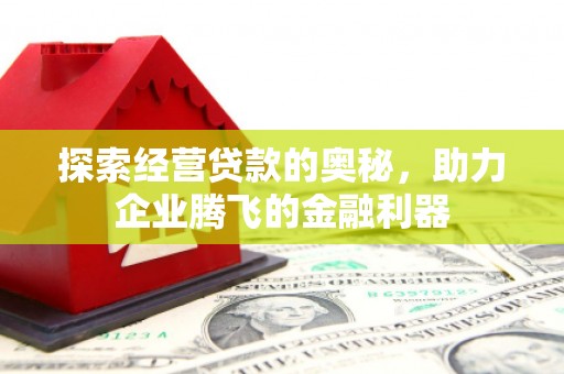 湖西探索经营贷款的奥秘，助力企业腾飞的金融利器