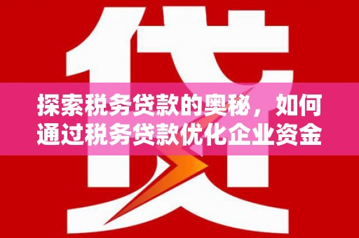 天峨探索税务贷款的奥秘，如何通过税务贷款优化企业资金流