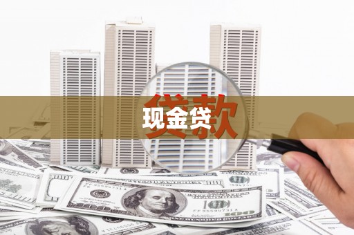 舞阳现金贷