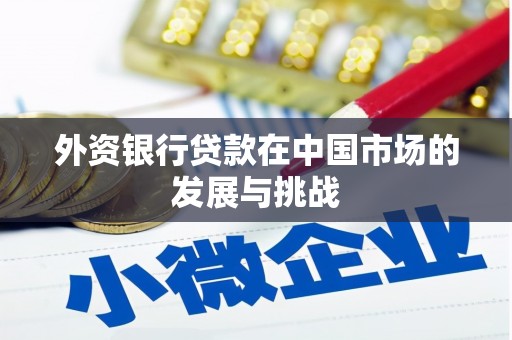 温岭外资银行贷款在中国市场的发展与挑战