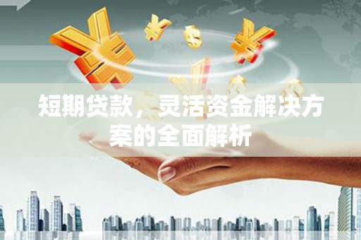 卓尼短期贷款，灵活资金解决方案的全面解析