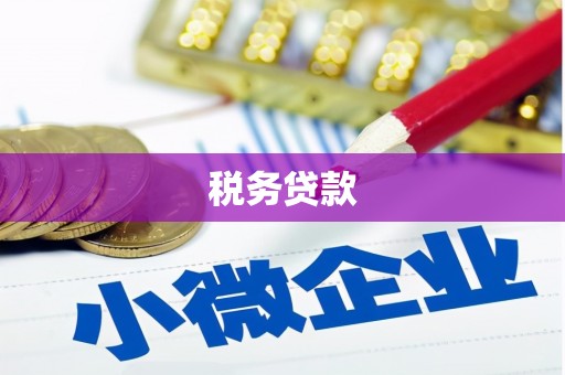 叙永税务贷款