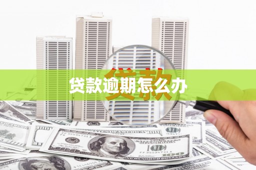 泰来贷款逾期怎么办