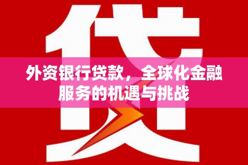 迎泽外资银行贷款，全球化金融服务的机遇与挑战