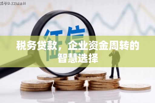 蓬江税务贷款，企业资金周转的智慧选择