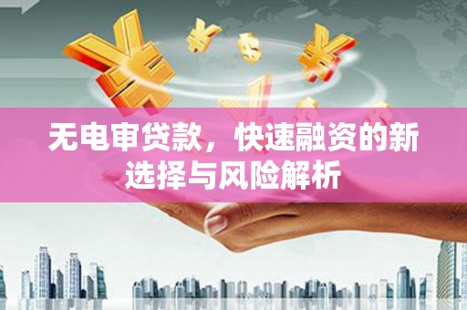 洋县无电审贷款，快速融资的新选择与风险解析