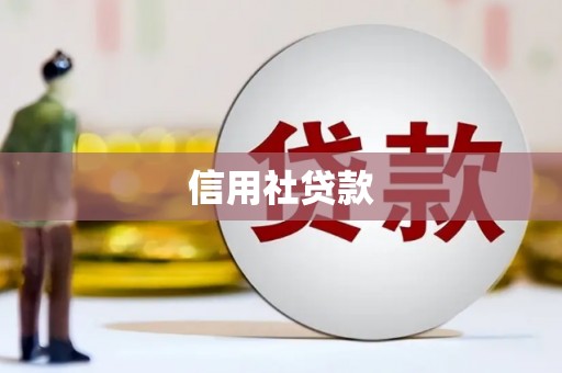 杜集信用社贷款