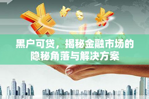 尚义黑户可贷，揭秘金融市场的隐秘角落与解决方案