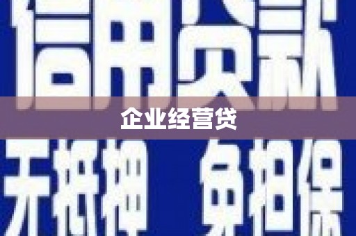 迭部企业经营贷
