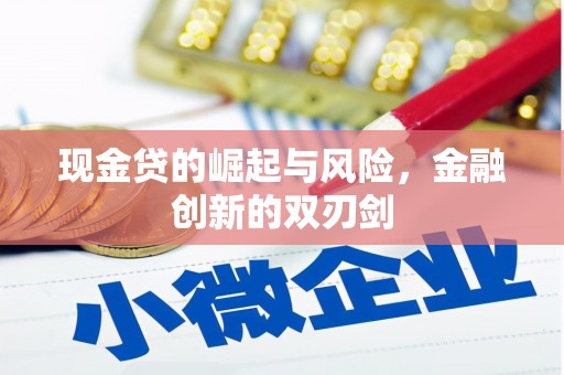 商南现金贷的崛起与风险，金融创新的双刃剑