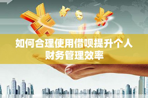 拉萨如何合理使用借呗提升个人财务管理效率