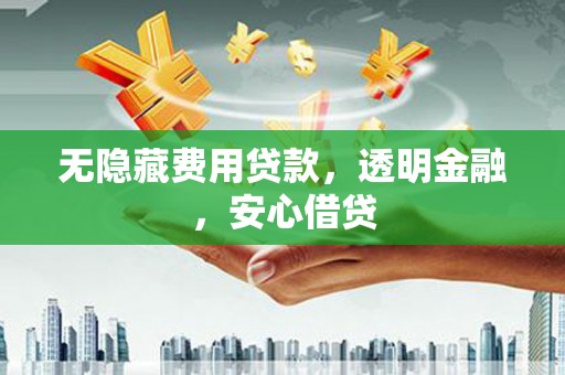 大武无隐藏费用贷款，透明金融，安心借贷
