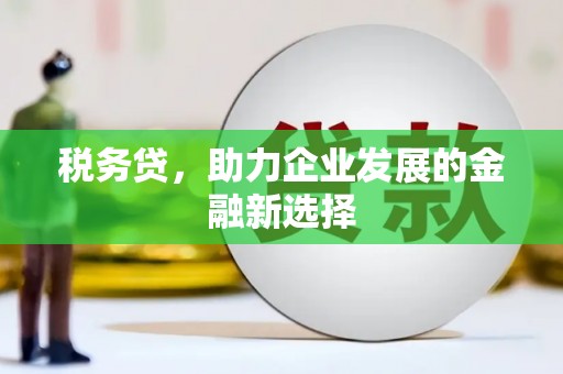 九原税务贷，助力企业发展的金融新选择