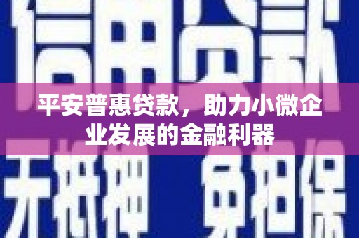 桐城平安普惠贷款，助力小微企业发展的金融利器