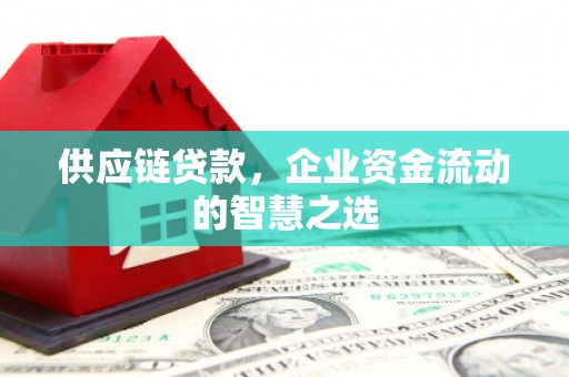 玛曲供应链贷款，企业资金流动的智慧之选