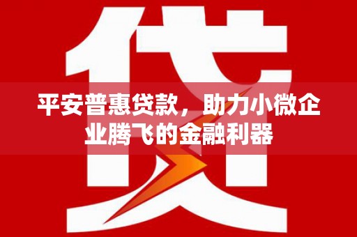 瑞穗平安普惠贷款，助力小微企业腾飞的金融利器
