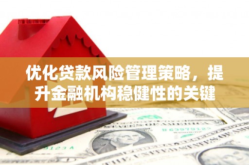 山上优化贷款风险管理策略，提升金融机构稳健性的关键