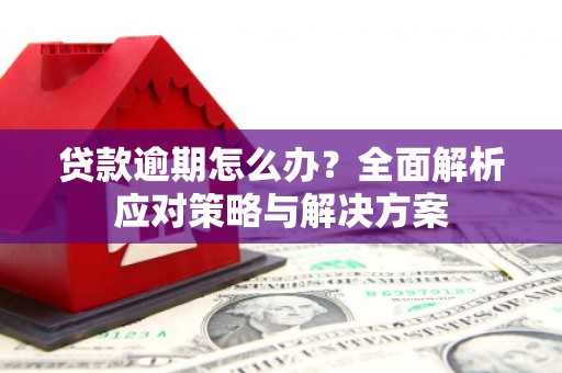 卓溪贷款逾期怎么办？全面解析应对策略与解决方案