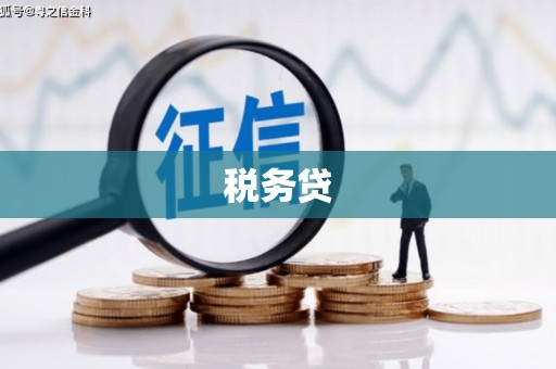 靖宇税务贷