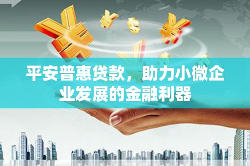 成武平安普惠贷款，助力小微企业发展的金融利器
