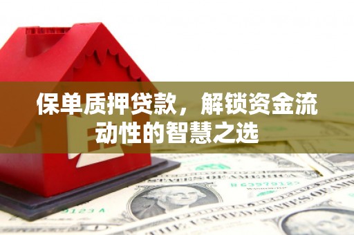 慈利保单质押贷款，解锁资金流动性的智慧之选