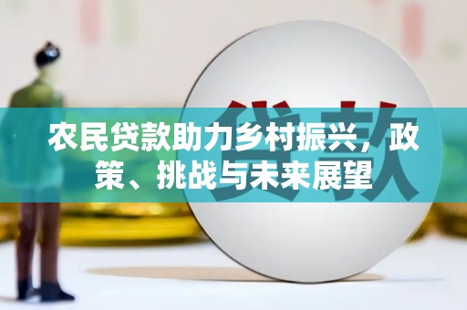 麻豆农民贷款助力乡村振兴，政策、挑战与未来展望