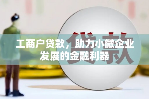 宝应工商户贷款，助力小微企业发展的金融利器
