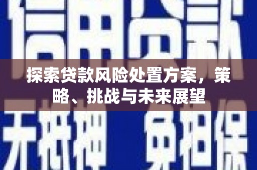 宁夏探索贷款风险处置方案，策略、挑战与未来展望