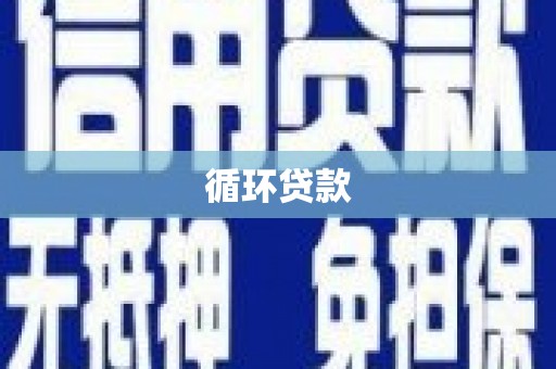 岳塘循环贷款