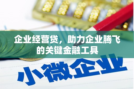 葫芦岛企业经营贷，助力企业腾飞的关键金融工具
