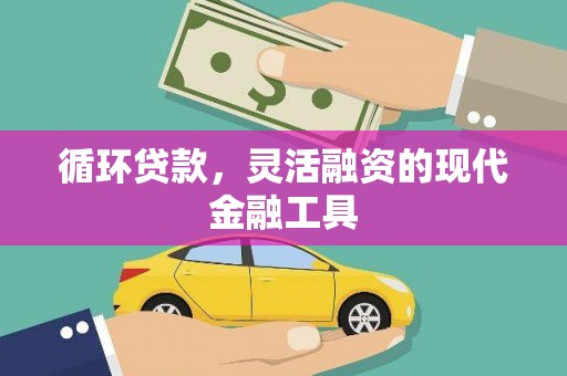 宁波循环贷款，灵活融资的现代金融工具