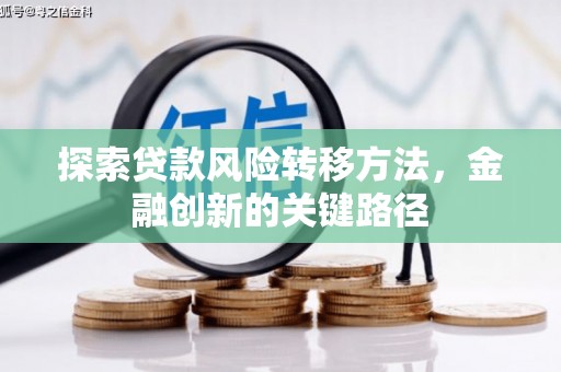 天元探索贷款风险转移方法，金融创新的关键路径