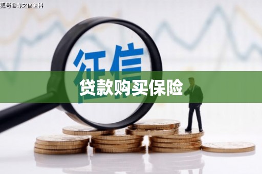 察隅贷款购买保险