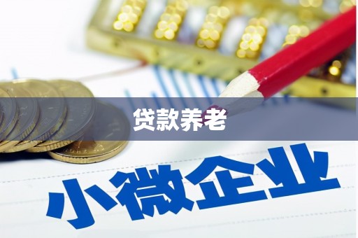 合水贷款养老
