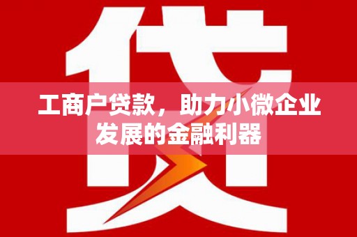 锦屏工商户贷款，助力小微企业发展的金融利器