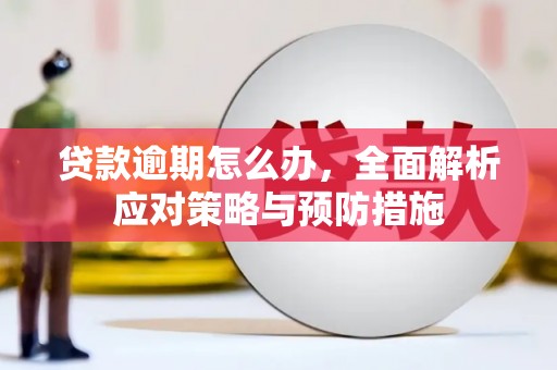 铜梁贷款逾期怎么办，全面解析应对策略与预防措施